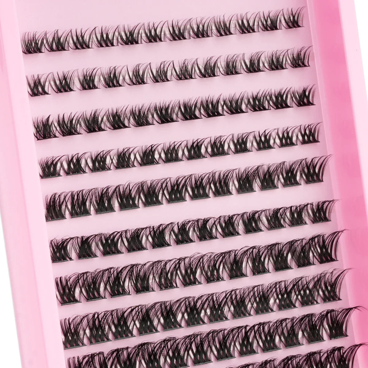 Lash Perfection Kit